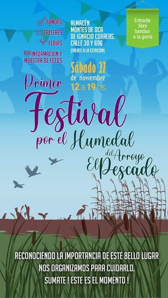 Festival
